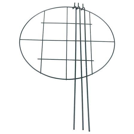 Gardener's Supply Company Kraftiga 30 cm Växtstöd för Genomväxt av Blommor och Växter