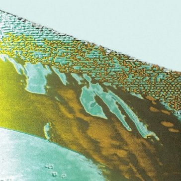 Koko maailma OLLI AARNI