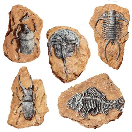 6 stk. Simuleringsharpiks Fossil Gecko Reptil Dekor Reptil Dekor for Liten Kjæledyr Slange Landskap DIY Glassbeholder Dekor