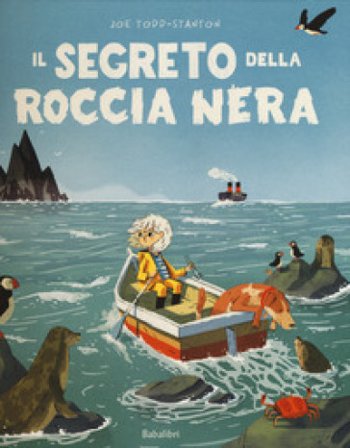 Il segreto della roccia nera. Ediz. a colori Joe Todd-Stanton