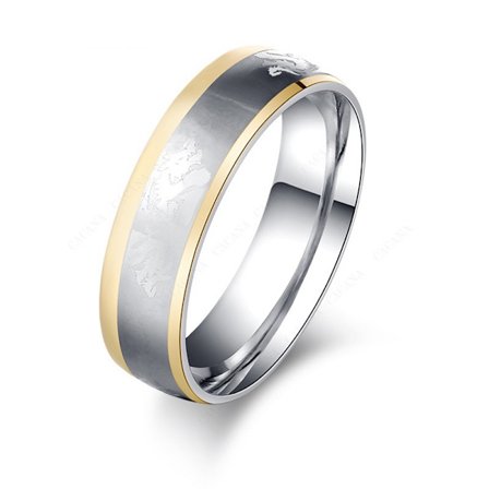 Rostfritt stål ring