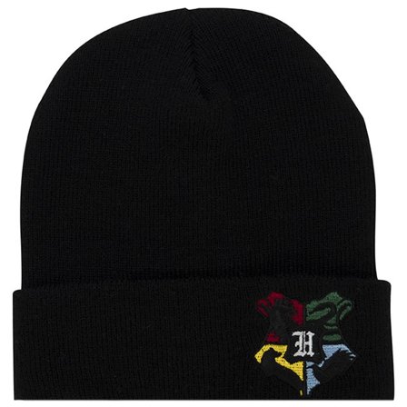 Harry Potter Hogwarts hat