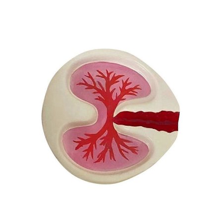 Askkopp i form av lunga, röd, rolig askkopp, skrivbordsdekoration för hemmet, handgjorda ornament, födelsedagspresent till pojkvän