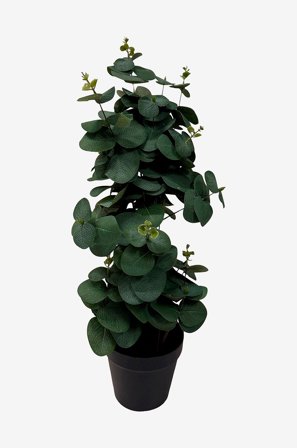 Nordic Furniture Group - Taidekasvi Viridis Eucalyptus 54 - Vihreä - Tekokasvit - - Homeroom