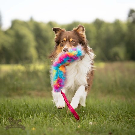 Doggie-Zen Knitrende Bungee Hundeleke, Sommerfarger -L