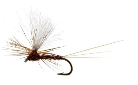 Vespertina Dun Biot Brown TMC100 #16