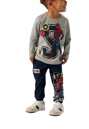 Name It NMMDEEP SPIDER LS NREG TOP T-shirts & toppar Herr Grå 116