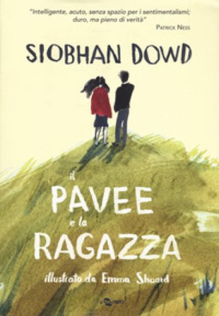 Il pavee e la ragazza Siobhan Dowd