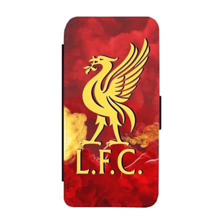 Liverpool Liverbird iPhone 15 Plånboksfodral multifärg