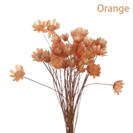 30st dekorativa torkade blommor Mini Daisy ORANGE