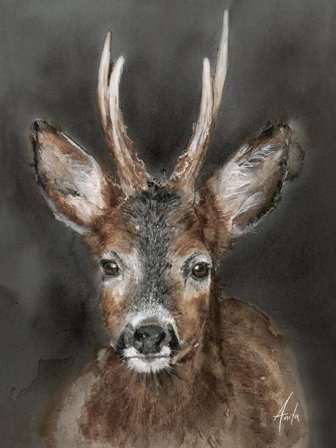 Nordic Wild Kunsttrykk Rådyr 30x40cm Akvarellpapir