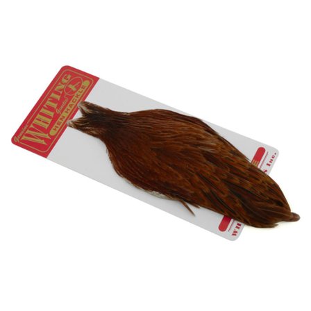 Whiting Höns Nacke Brown