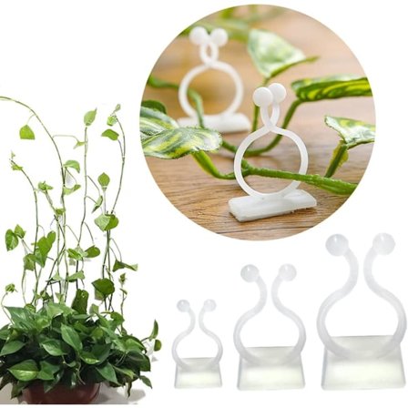 Pakke med 100 veggfester for klatreplanter - 3 størrelser - selvklebende