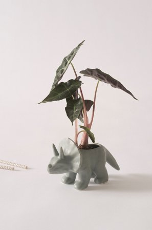 Jotex - Minikrukke Grønn - BEA - Kjøp Krukker hos Jotex