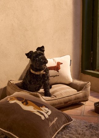 Lexington Hundeseng Checked stone-beige small