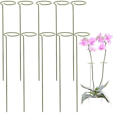 10 Plantestøttesett | Støtte for klatreplanter og blomster | Grønn støttepinne | Hjelp blomstene dine å vokse | Hagetomat