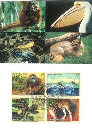 FN Wien - Truede Dyr 1999 - Maximumskort