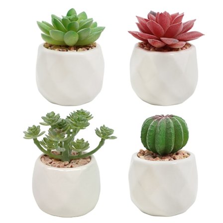 Rosa konstgjorda suckulenter i vita keramikrukor (set om 4) - Mini Life