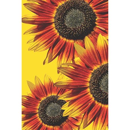 Täysi Timanttimaalaus, Kaunis Auringonkukka Kukkia Timanttimaalaus DIY 5D Mosaiikki Maalaus Numero Ristinommel