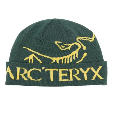 Arc'teryx Bird Word Toque Grønn Void Ullue Unisex Varm Vinter