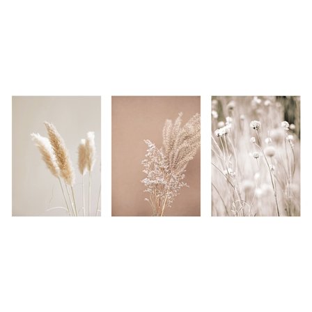 3 deler rammeløs maleri moderne pampas gress planter natur lan