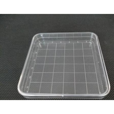10 stk. transparente glaspetriskåle, 10*10 cm autoklaverbare celledyrkningsskåle petriskåle med klart låg til laboratorium