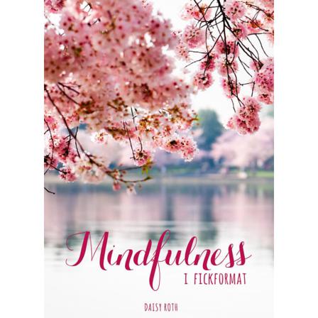Mindfulness I Fickformat 9789177839101