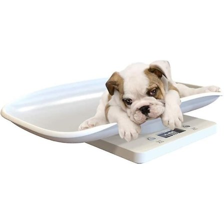 Digital multifunktionsvåg för husdjur Stor LCD-skärm Elektronisk våg Vikt 10 kg Kapacitet Husdjur