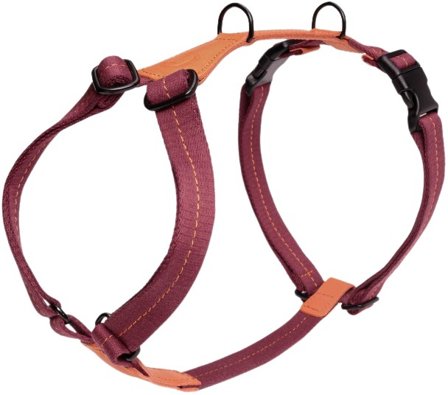 Cloud7 Harness Madeira valjaat, XL-XXL, Papaya