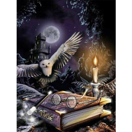 Diamond Painting 50x70 Cm Trollkarl Harry Potter Diamantmålning Multifärg