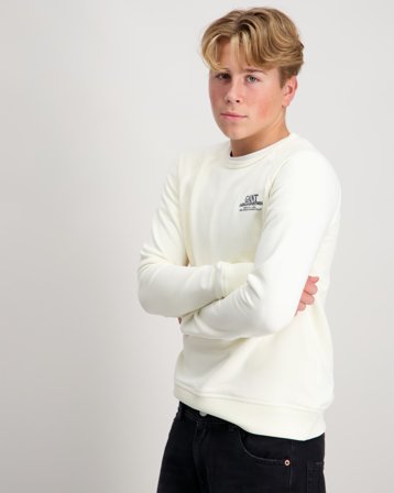 GANT GRAPHIC RAGLAN C-NECK SWEAT Kremowy Swetry Chłopiec - Kids Brand Store