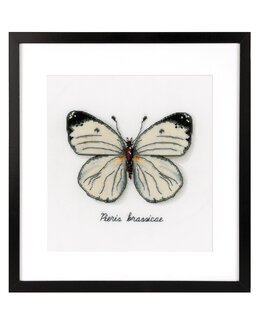 Bild Weißer Schmetterling