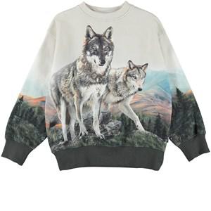 Molo Wolf Friends Mattis GOTS Sweatshirt 92 cm - Jumpers and knitwear - 92 cm - Green - Junge