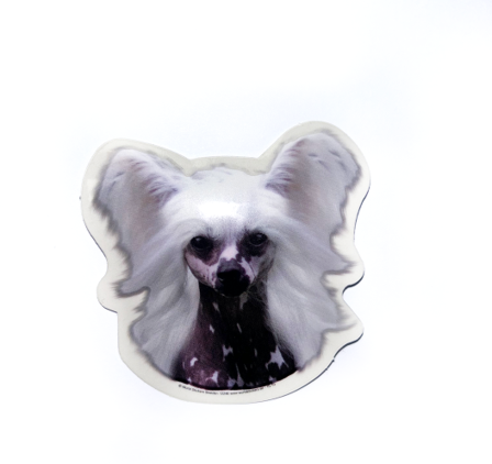 Chinese Crested (Kinesisk nakenhund) - klistremerker