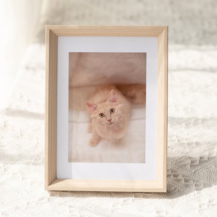 Skylight Frame - 10 tommers Wifi digital fotoramme, send bilder via e-post