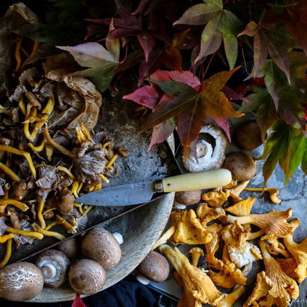 Pallarès Perinteinen keittiöveitsi, 9 cm