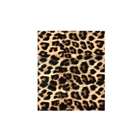 Paket Med 10 Leopard Print Slithärdig Söt Present
