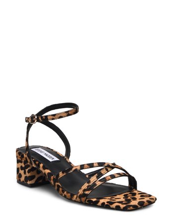 Steve Madden Gabby-L Sandal Brun
