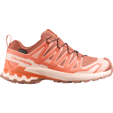 Salomon - Trailrunning-Schuhe Xa Pro 3d V9 Gtx W - 42⅔