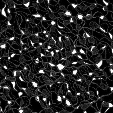 Split lp GARY WAR/PURPLE PILG