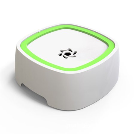 Grön skål för husdjur, stänkskyddad flytande vattenskål