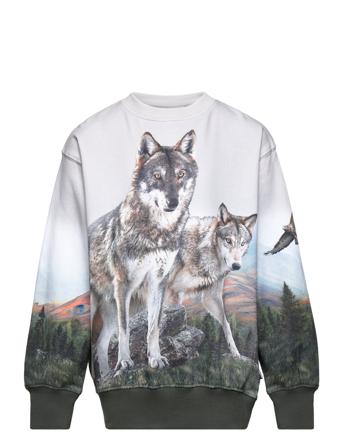 Mattis Sweat-shirt Genser Multi/mønstret Molo*Betinget Tilbud