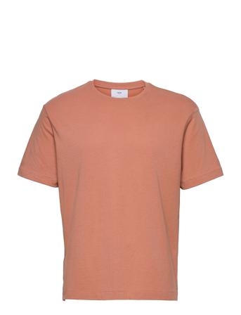 Circo Pink Mango
