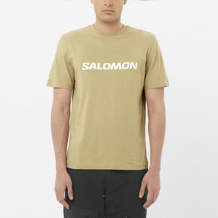 Salomon - Camiseta de manga corta para hombre Logo - Gray Green