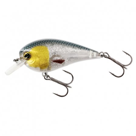 Westin BassBite 1.5 Squarebill 6cm 13g Floating - 3D Headlight