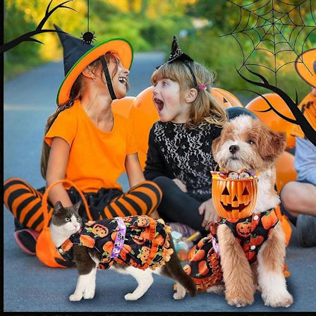 Halloween hundekjole sød græskar hund Halloween kostume lille hund pige fancy ærmeløs flæsekjole hund kat kæledyr kostume