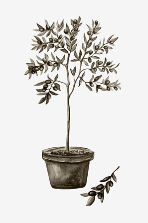 Venture Home - Juliste Olive - Valkoinen - Julisteet - 70X100 - - Homeroom