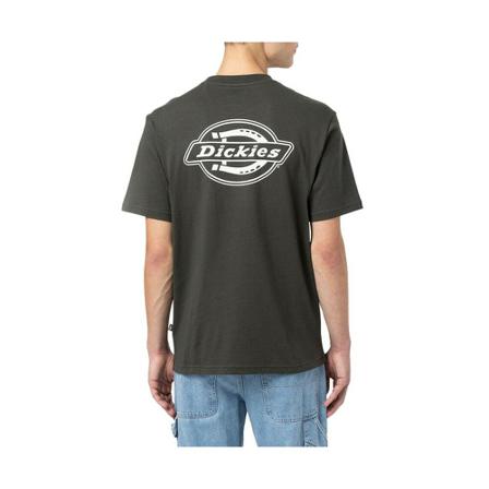 Dickies T-Shirts Grøn, Herre