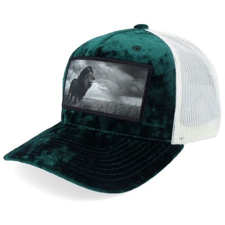 Calza Pennello - Grön trucker Keps - King Of Lion Big Patch Velvet Green/Ivory Trucker @ Hatstore