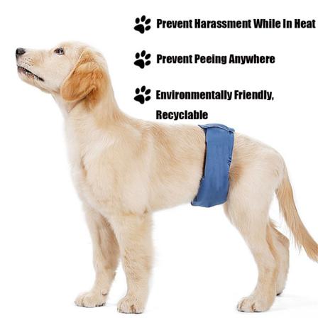 Anti-trakassering Dog Physiological Pants Xl